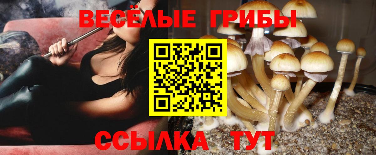 Псилоцибиновые грибы GOLDEN TEACHER Самара